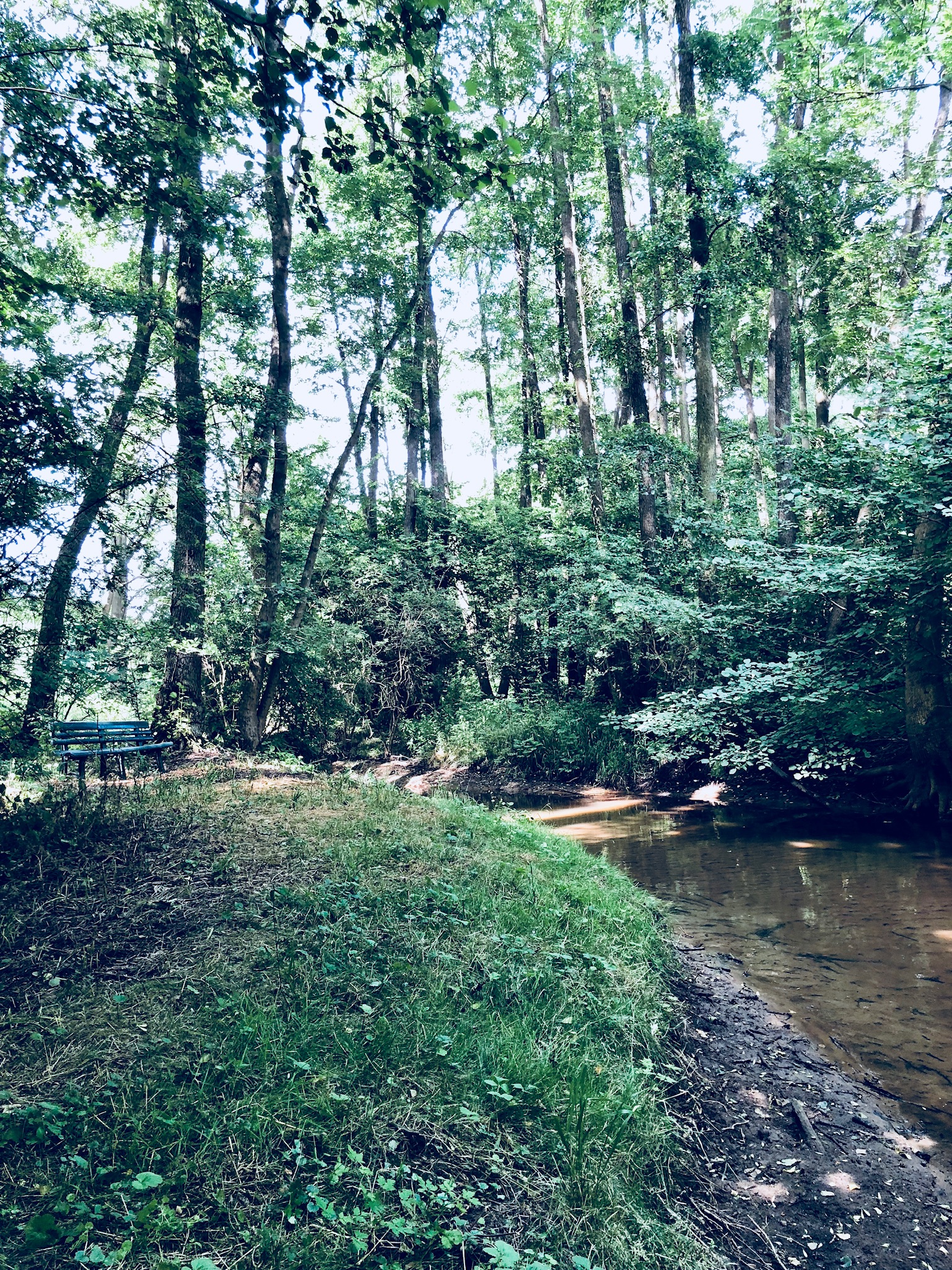 Charmantes Bauernhaus mit Gästehaus und Scheune: Idyllisches Wohnen zwischen Berlin und Hamburg in der Prignitz