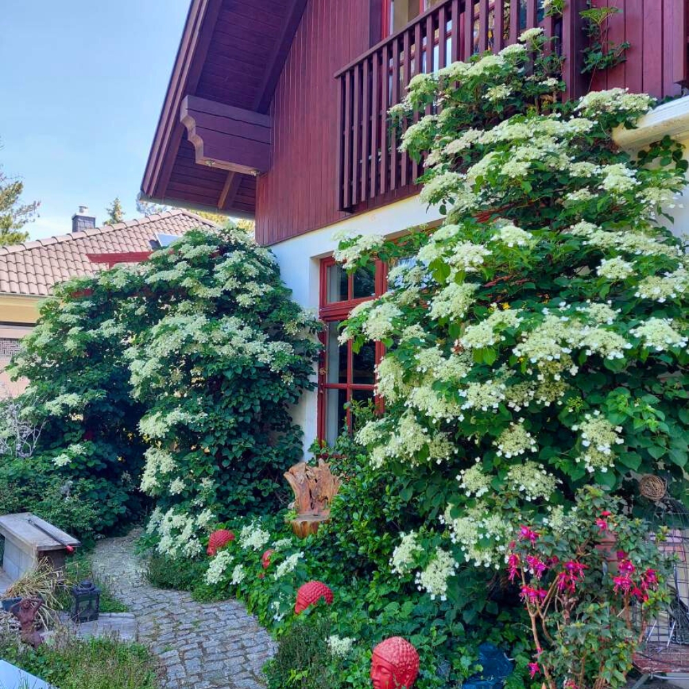 Elegante Architektenvilla mit Gartenidylle und Wellnesskomfort