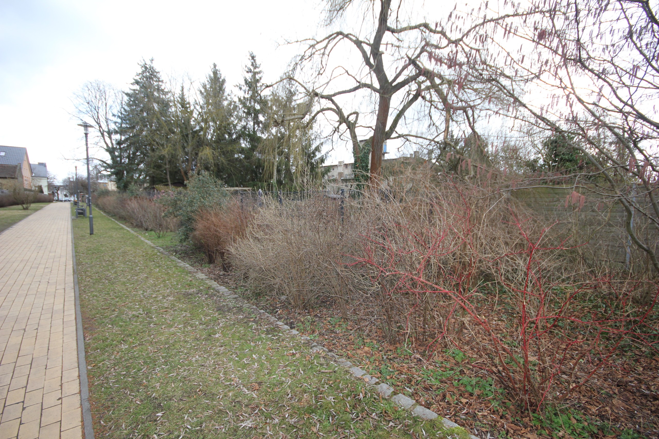 Projektiertes Baugrundstück in Velten