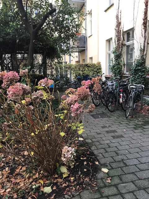Leben im Trendviertel: 2-3 Zimmer in begehrter Lage