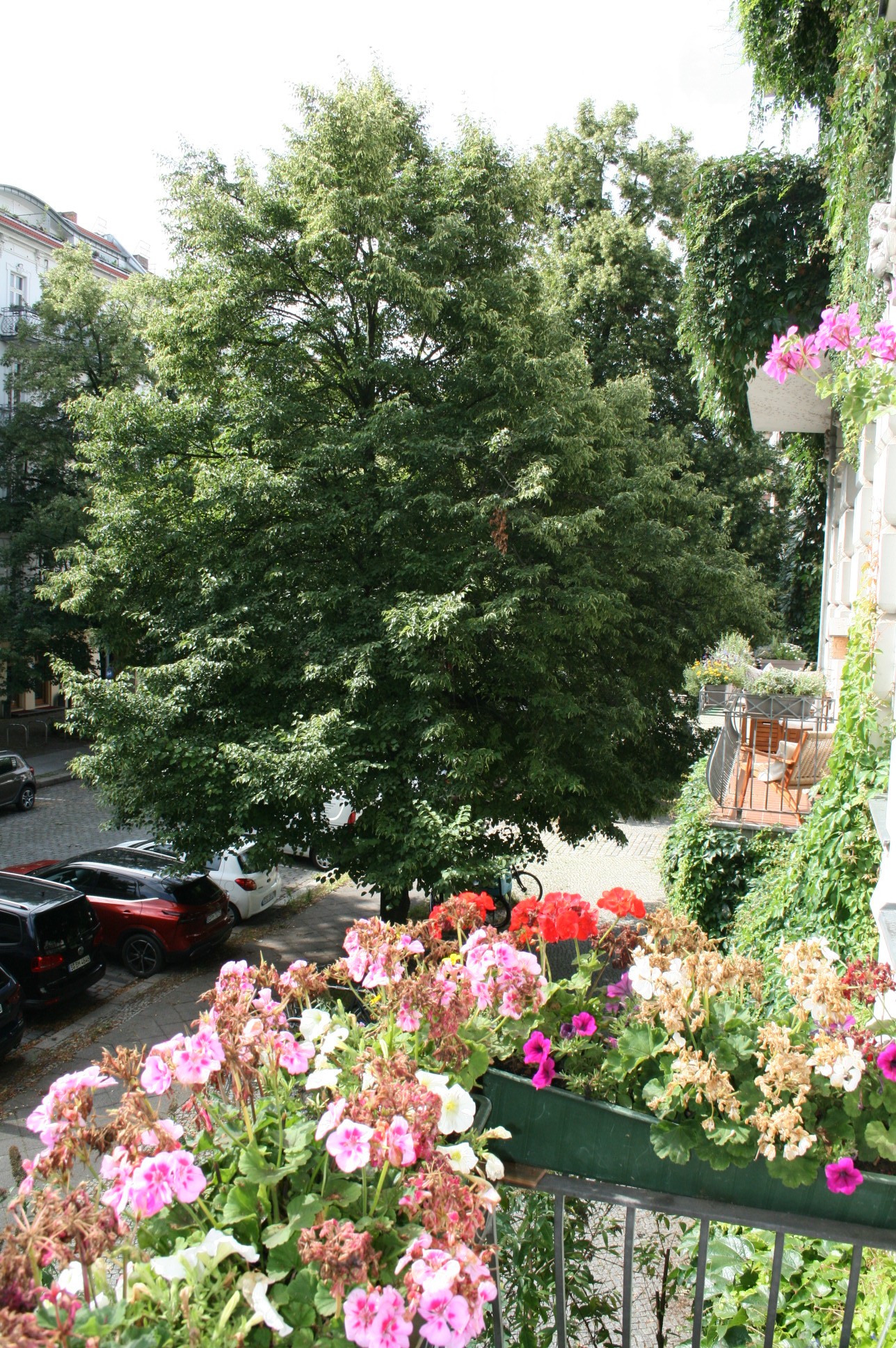 2 Zimmer 1. OG Im Herzen Berlins