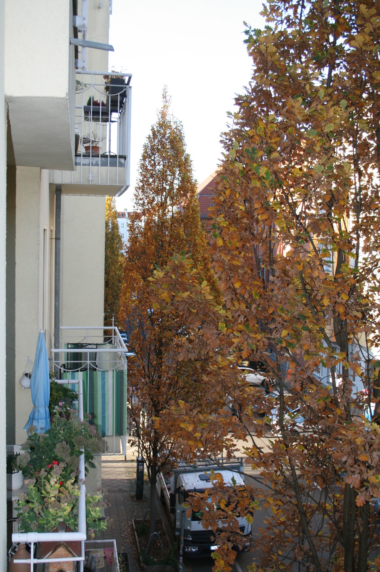 Moderne 2 Zimmer-Wohnung mit Altbau-Charme