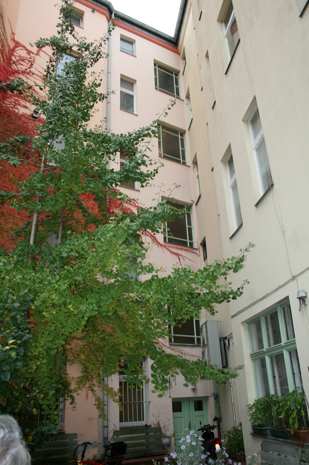 Wohn- & Geschäftshaus (Ärztehaus)